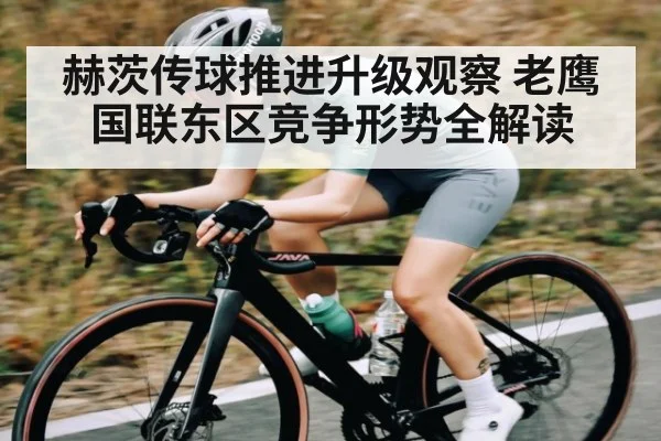 赫茨传球推进升级观察 老鹰国联东区竞争形势全解读