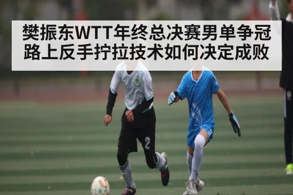 樊振东WTT年终总决赛男单争冠路上反手拧拉技术如何决定成败